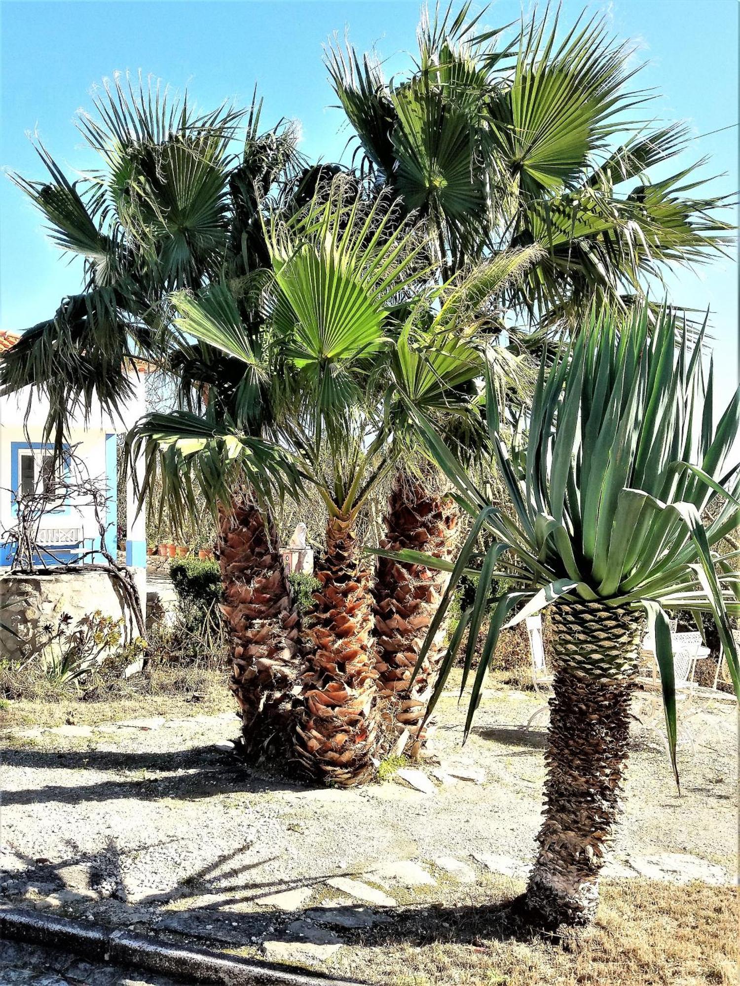 Agua Rocha Villa Serra de Mangues Room photo
